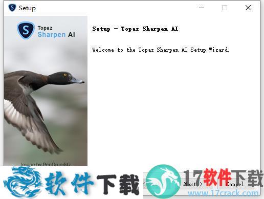 Topaz Sharpen AI v2.1.3 中文破解版（附汉化补丁）下载