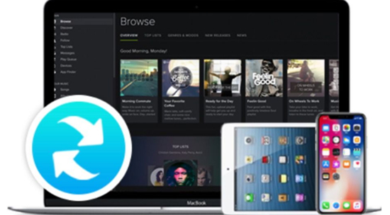 Macsome Spotify Downloader软件下载_Macsome Spotify Downloader中文破解版1.2.0