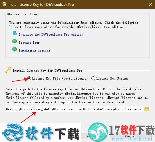 DbVisualizer pro 10 中文破解版 v10.0.16（附安装教程）下载