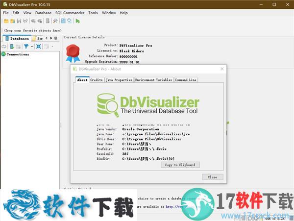DbVisualizer pro 10 中文破解版 v10.0.16（附安装教程）下载