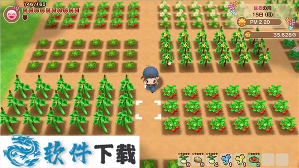 牧场物语重聚矿石镇 中文破解版下载