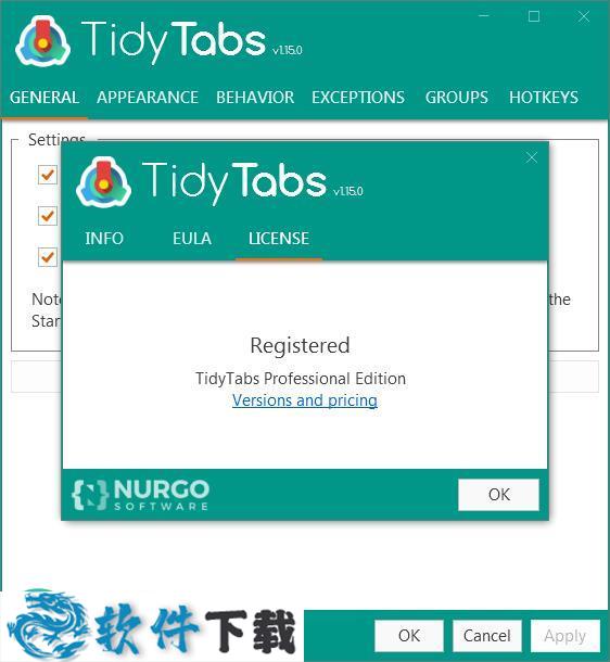 TidyTabs(桌面标签管理工具)破解版