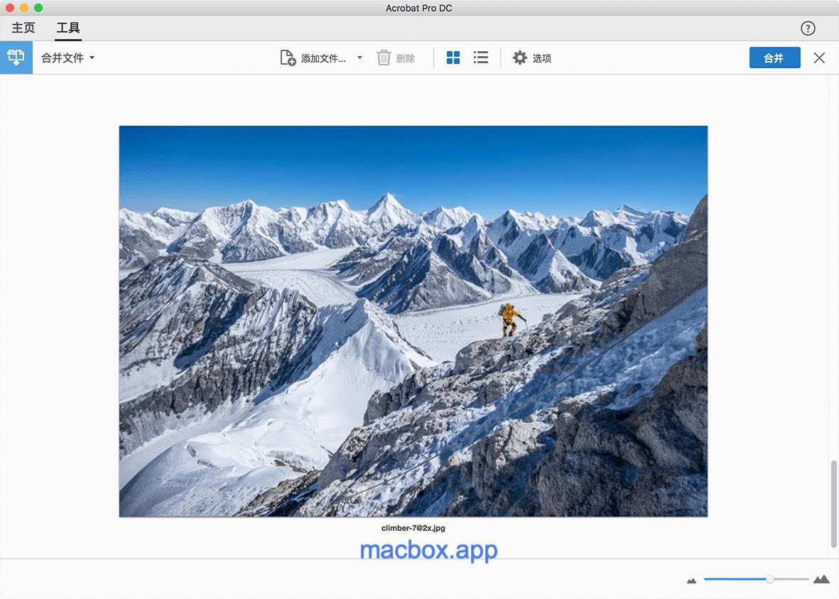 Acrobat mac版