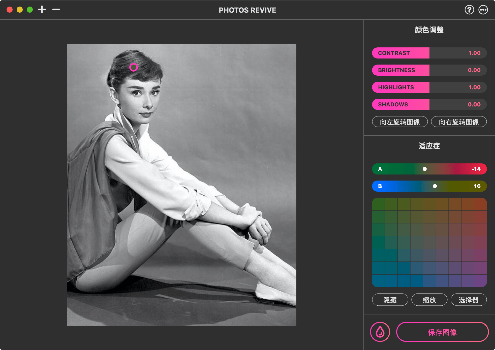 PhotosRevive 2.1.2 macOS下的黑白照片自动上色软件下载
