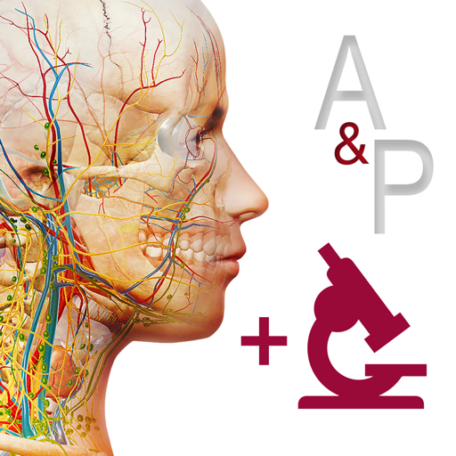 Anatomy and Physiology破解版下载-Anatomy and Physiology for Mac(解剖生理医学软件) 