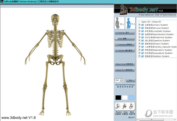 3DBody