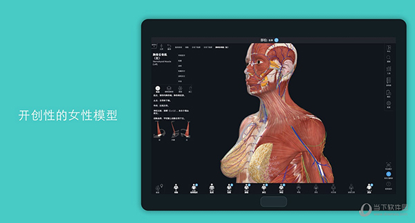complete anatomy