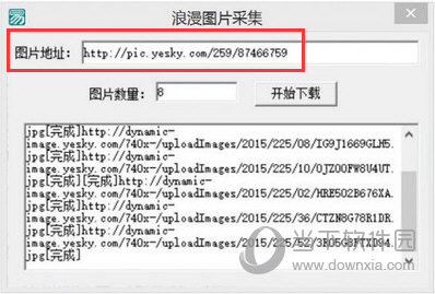 浪漫图片采集工具