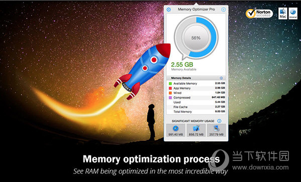 Memory Optimizer Pro