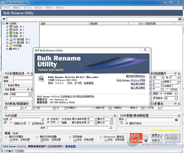 Bulk Rename Utility中文版