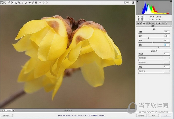 Camera Raw 9.8下载