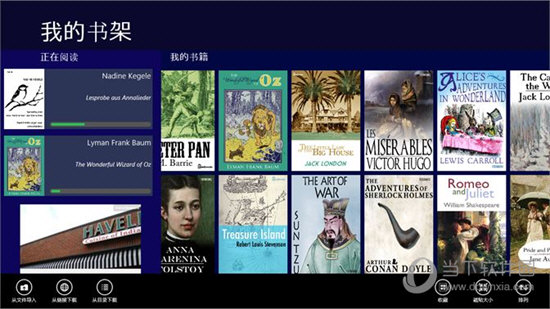 Book Bazaar Reader中文版