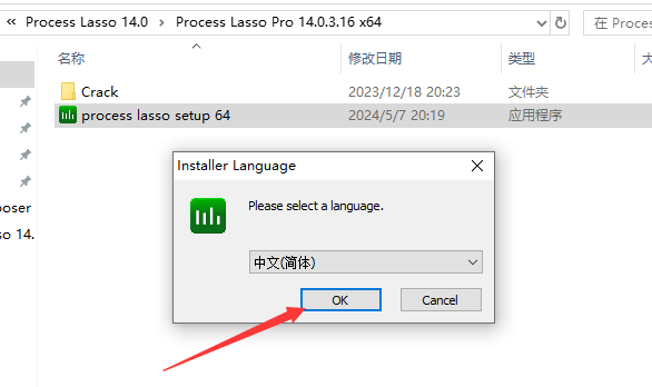 Process Lasso 14.0 免费破解版下载+安装教程-4